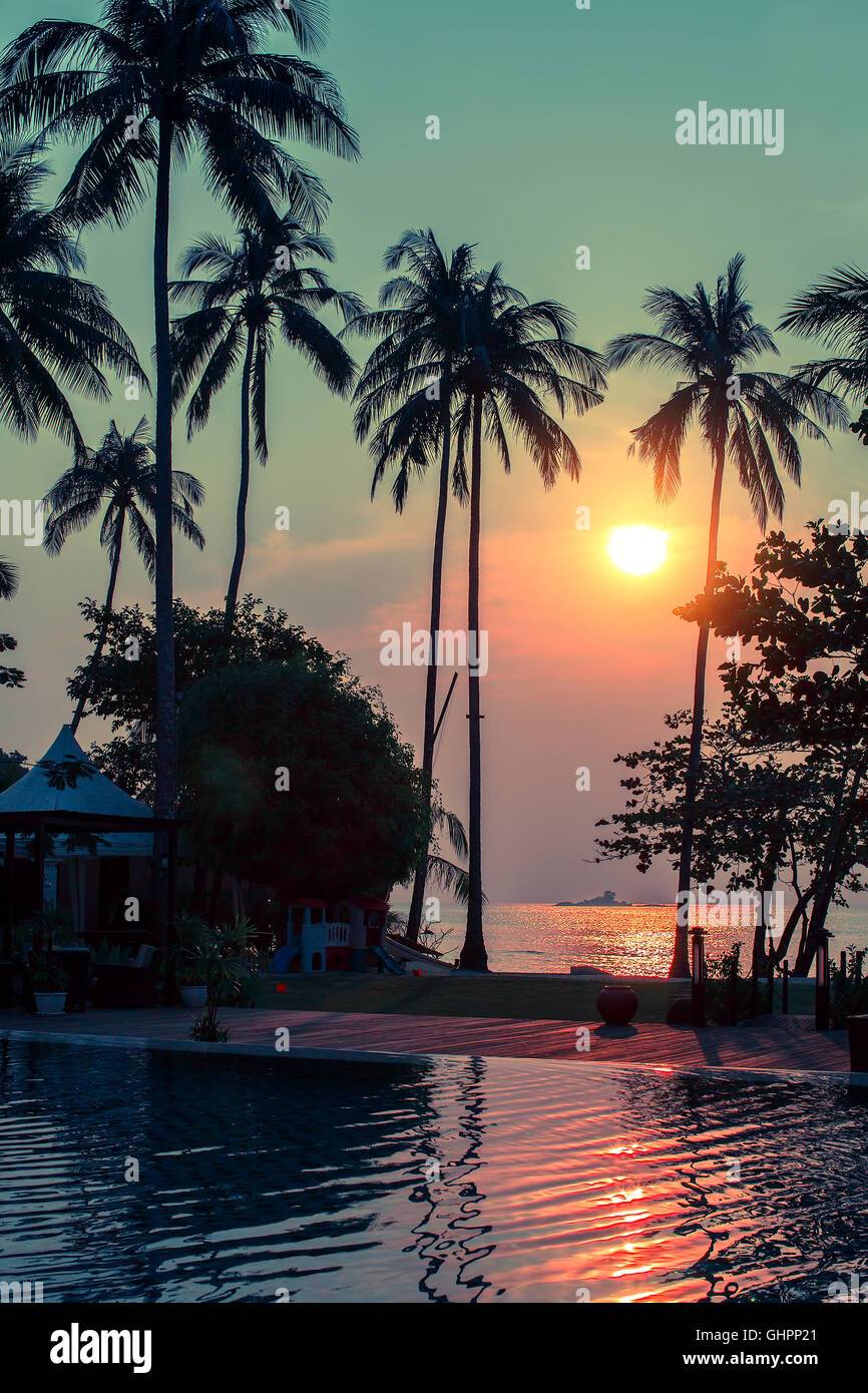 Coucher du soleil sur une petite plage tropicale entourée de palmiers. Banque D'Images