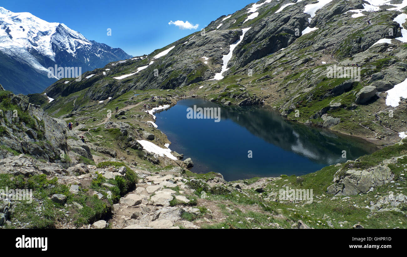 Plus bas des Lacs des Cheserys, réserve naturelle des Aiguilles Rouges,  Chamonix Mont Blanc, Rhône-Alpes, Haute Savoie, France Photo Stock - Alamy