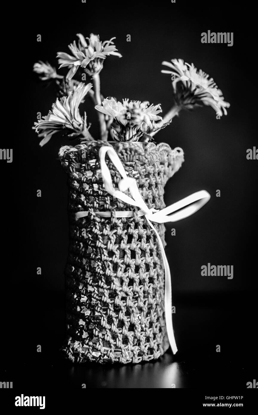 Le noir et blanc bouquet de l'épervière fleurs dans un vase couvert en tissu Banque D'Images