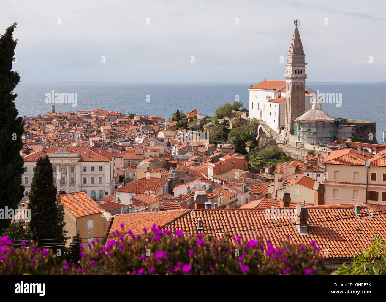 Vue sur les toits de Piran, Slovénie. Banque D'Images