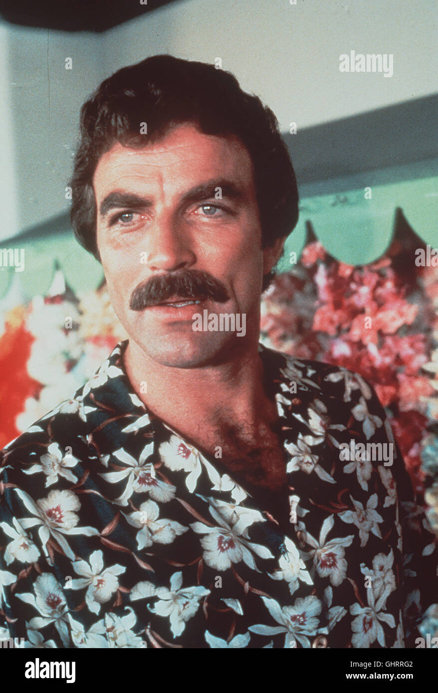 MAGNUM- die schwierige Suche nach dem Vater des verschollenen jungen Versicherungsvertreters Dan Wolf nimmt für Magnum (Tom Selleck) eine lebensgefährliche Wendung, nachdem er den Auftrag eigentlich bereits erfolgreich abgeschlossen glaubte... Regie : John Llewellyn Moxey aka. Magnum P.I. Der gekaufte Killer / chemin du prétexte à la Banque D'Images