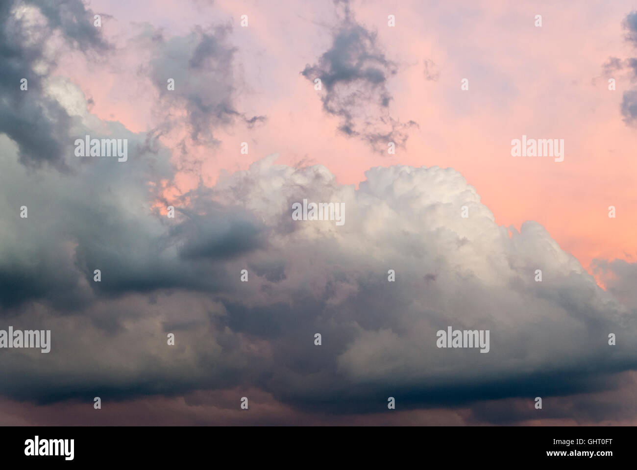 Ecureuil gris et de gros nuages cumulonimbus après un orage au coucher du soleil rougeoyant Banque D'Images