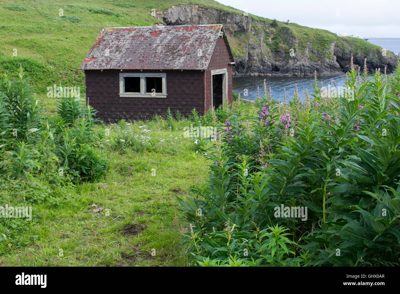 L'Alaska, les îles Aléoutiennes, l'île de l'AGNU, Village de l'AGNU. Les mines d'or abandonnées village. Banque D'Images