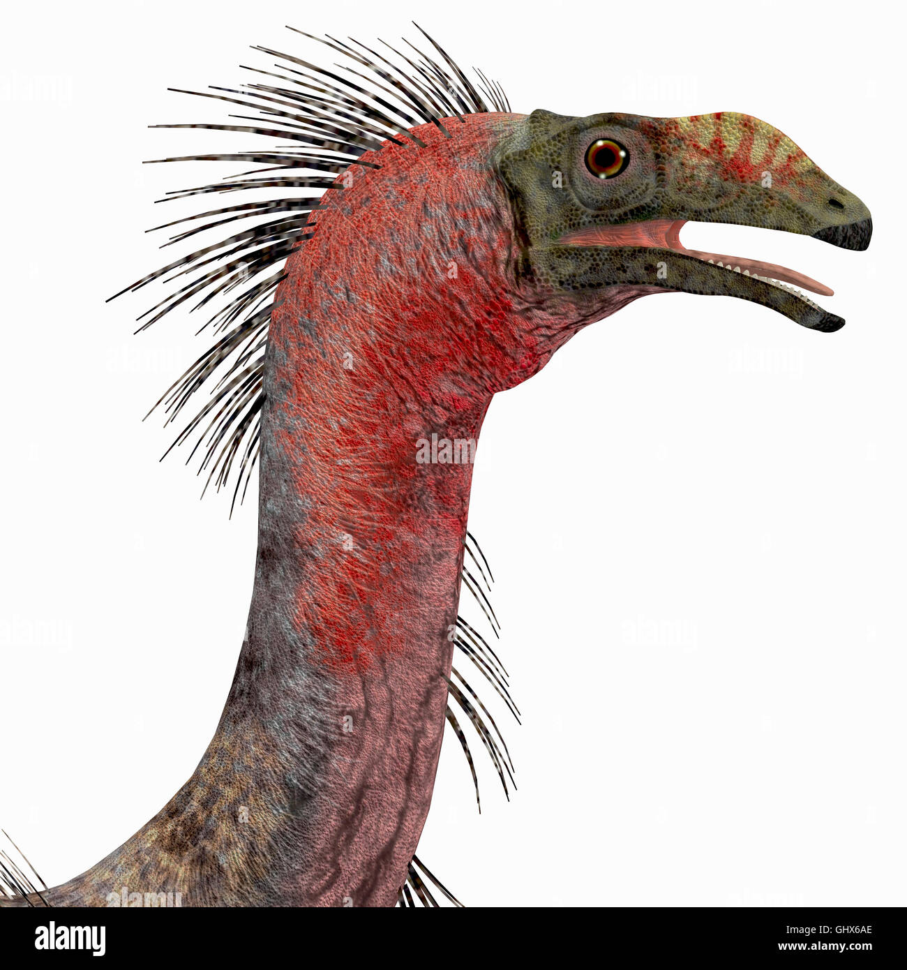 Therizinosaurus était un dinosaure théropode carnivore qui vivait dans