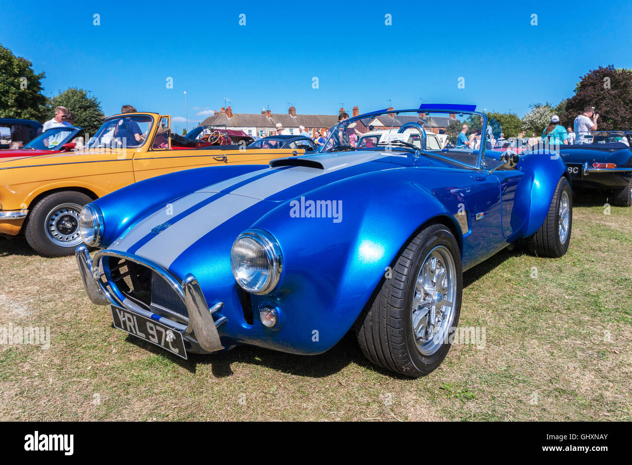 Ac cobra blue Banque de photographies et d’images à haute résolution