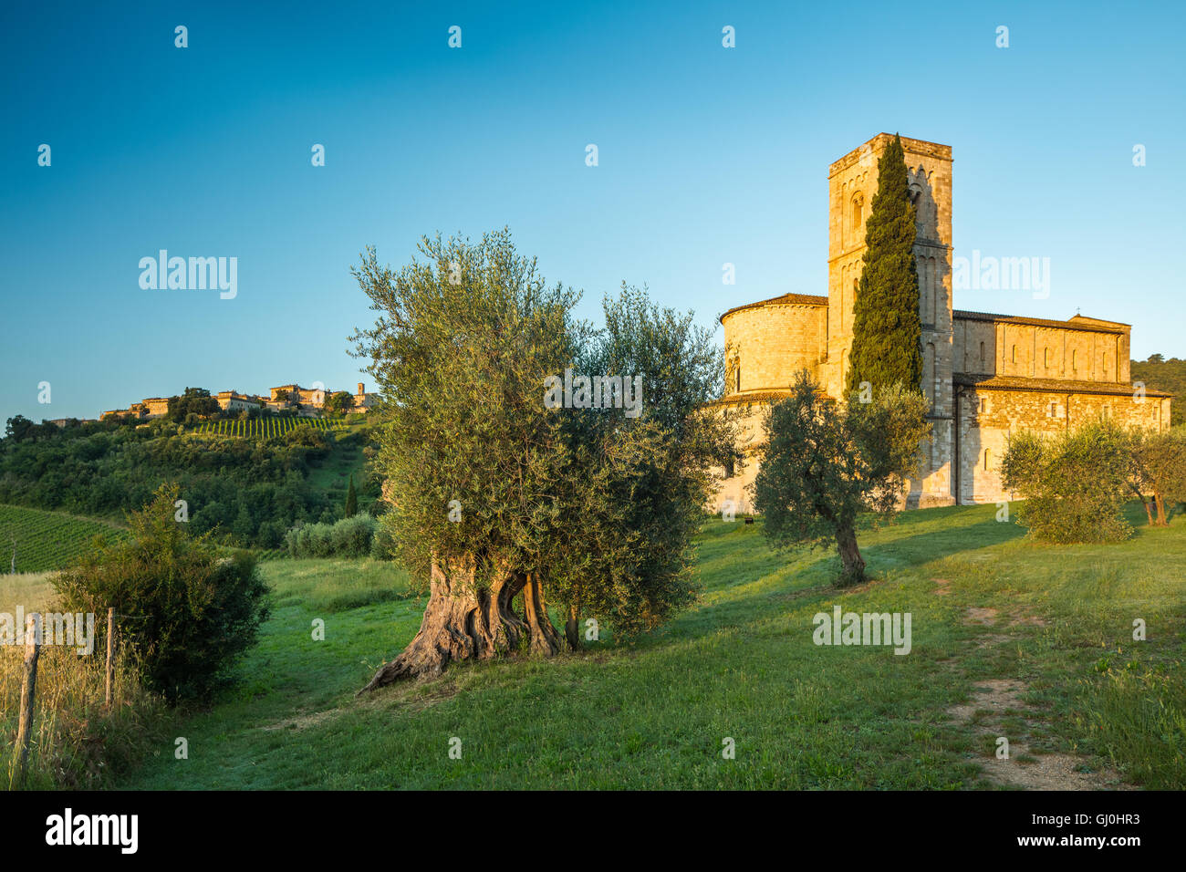 Abbaye de Sant'Antimo, Montalcino, Toscane, Italie Banque D'Images