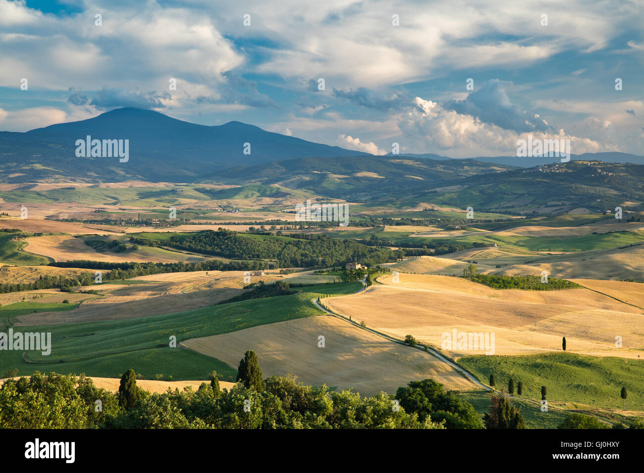 Monte Amiata et la Val d'Orcia, près de Pienza, Toscane, Italie Banque D'Images