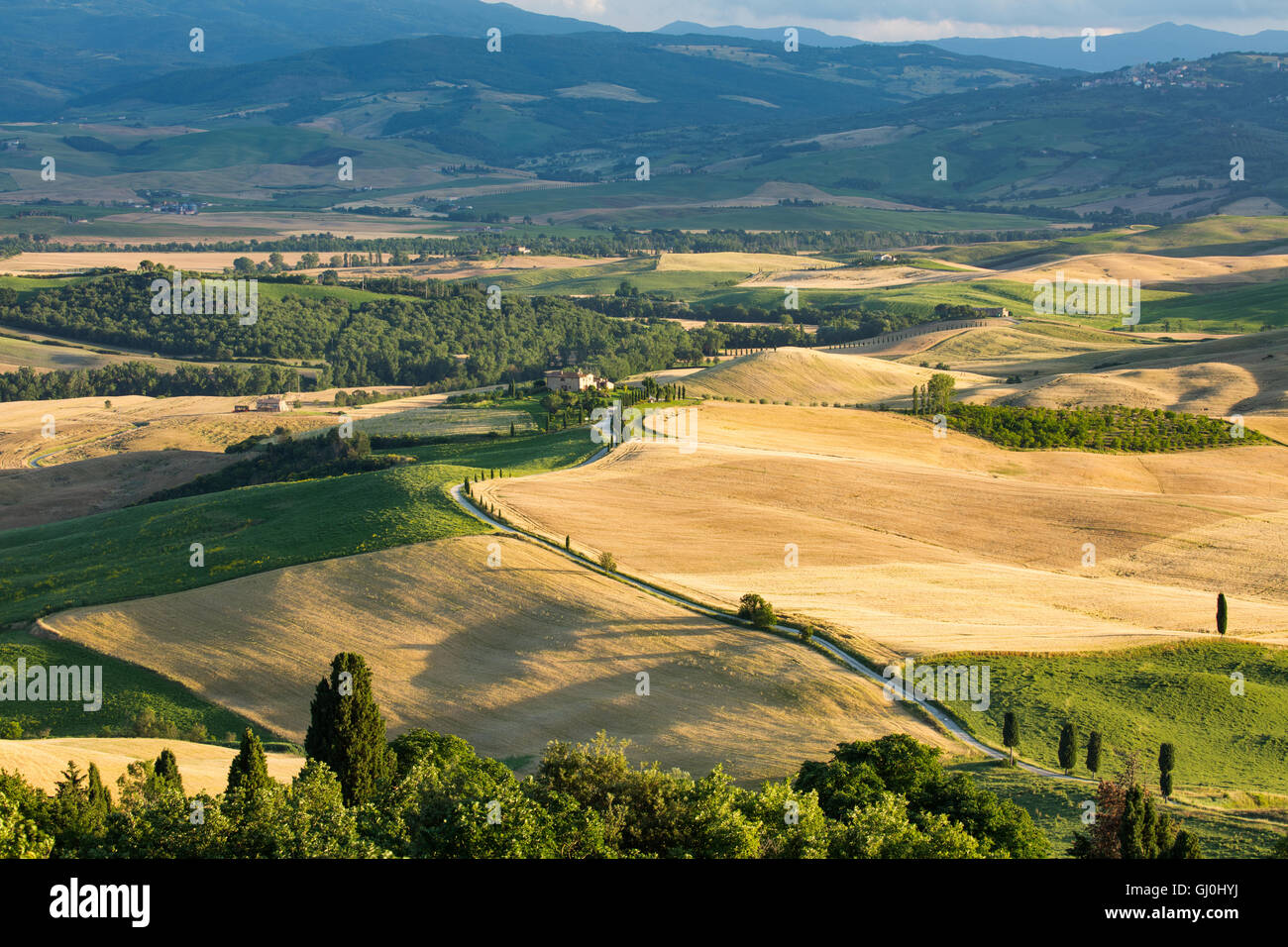 Une route de campagne qui serpente à travers le Val d'Orcia, près de Pienza, Toscane, Italie Banque D'Images