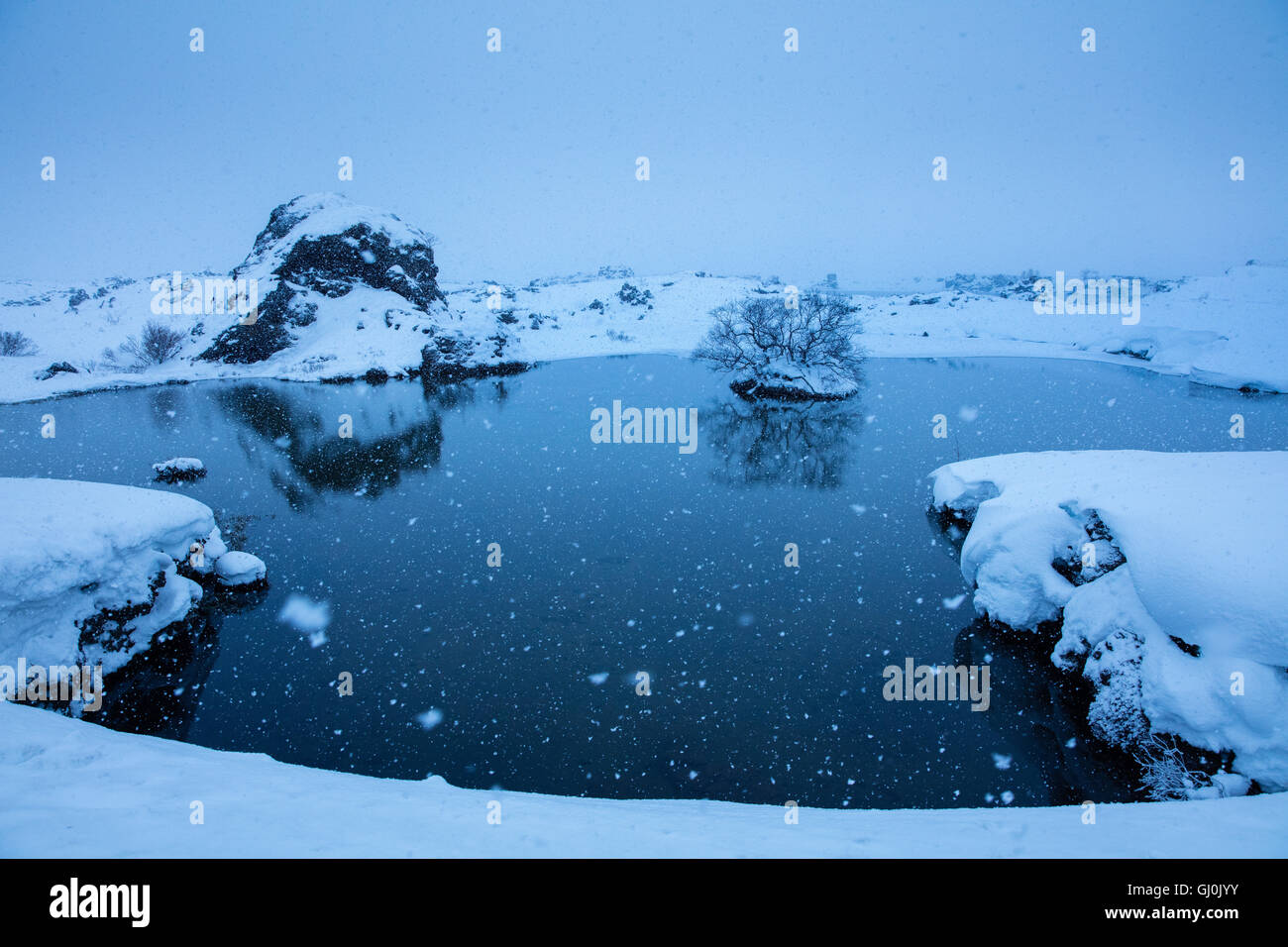 La neige qui tombe à Mývatn, hiver, au nord-est de l'Islande Banque D'Images