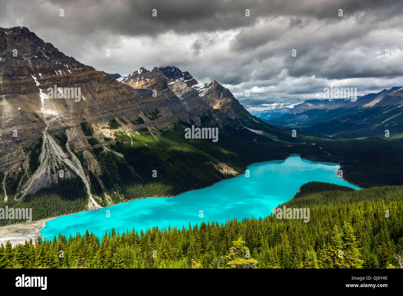 Le lac Peyto, Banff National Park, Alberta, Canada Banque D'Images
