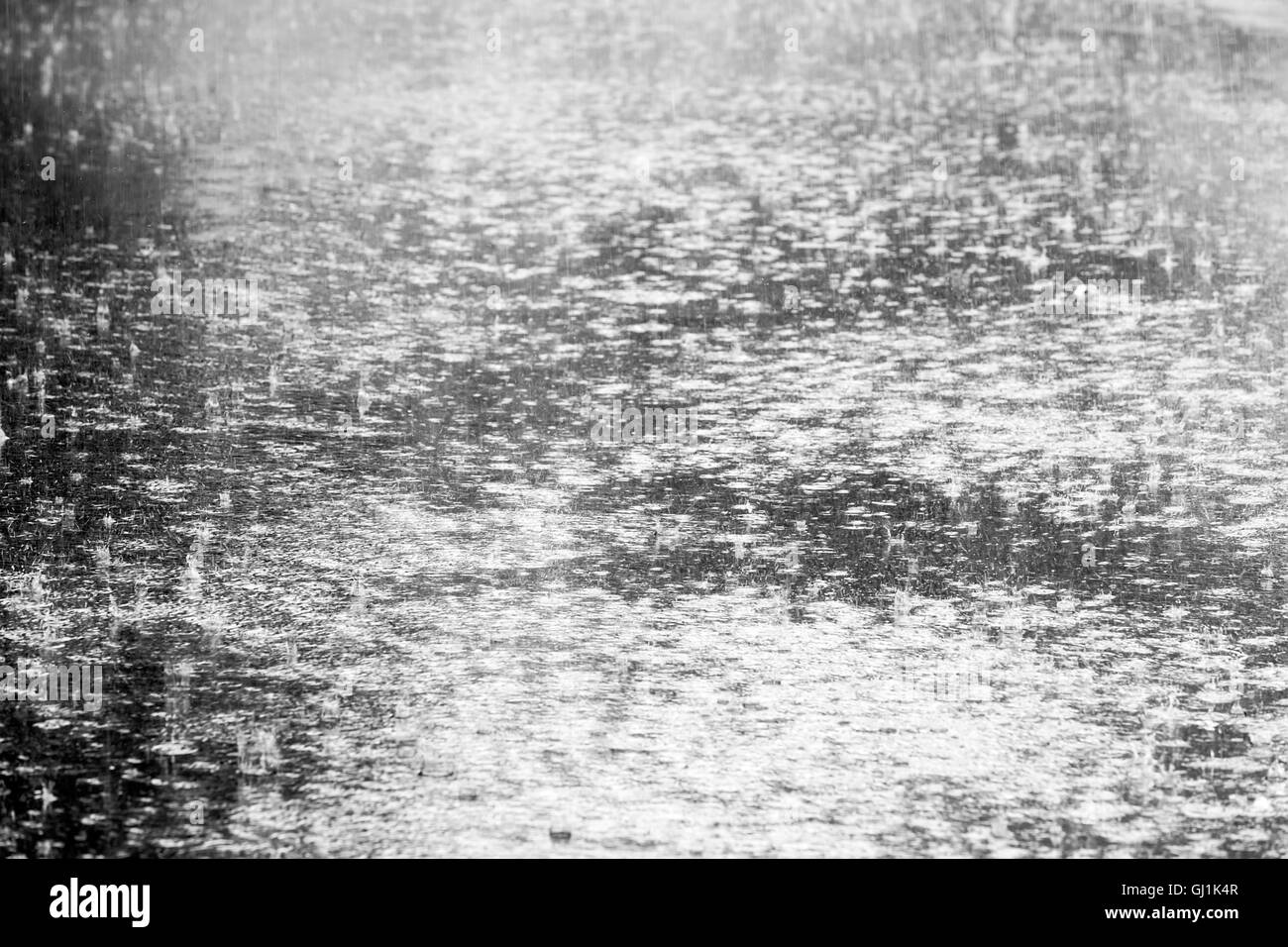 Gouttes de pluie dans une flaque d'ondulation Banque D'Images