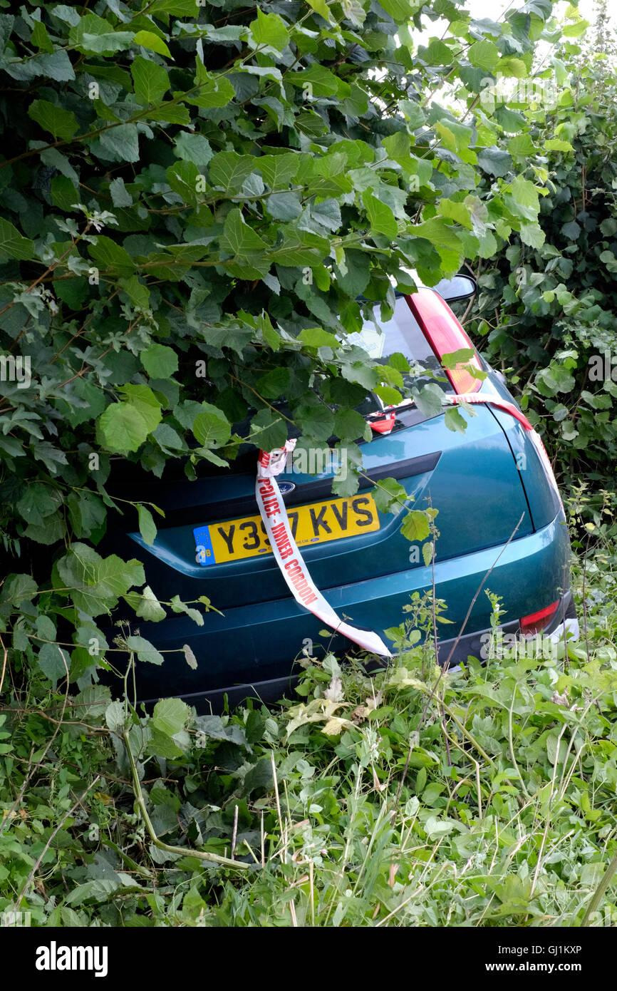 Une voiture est encore enfouies dans une haie après avoir échoué à négocier virage sur une route de campagne england uk Banque D'Images