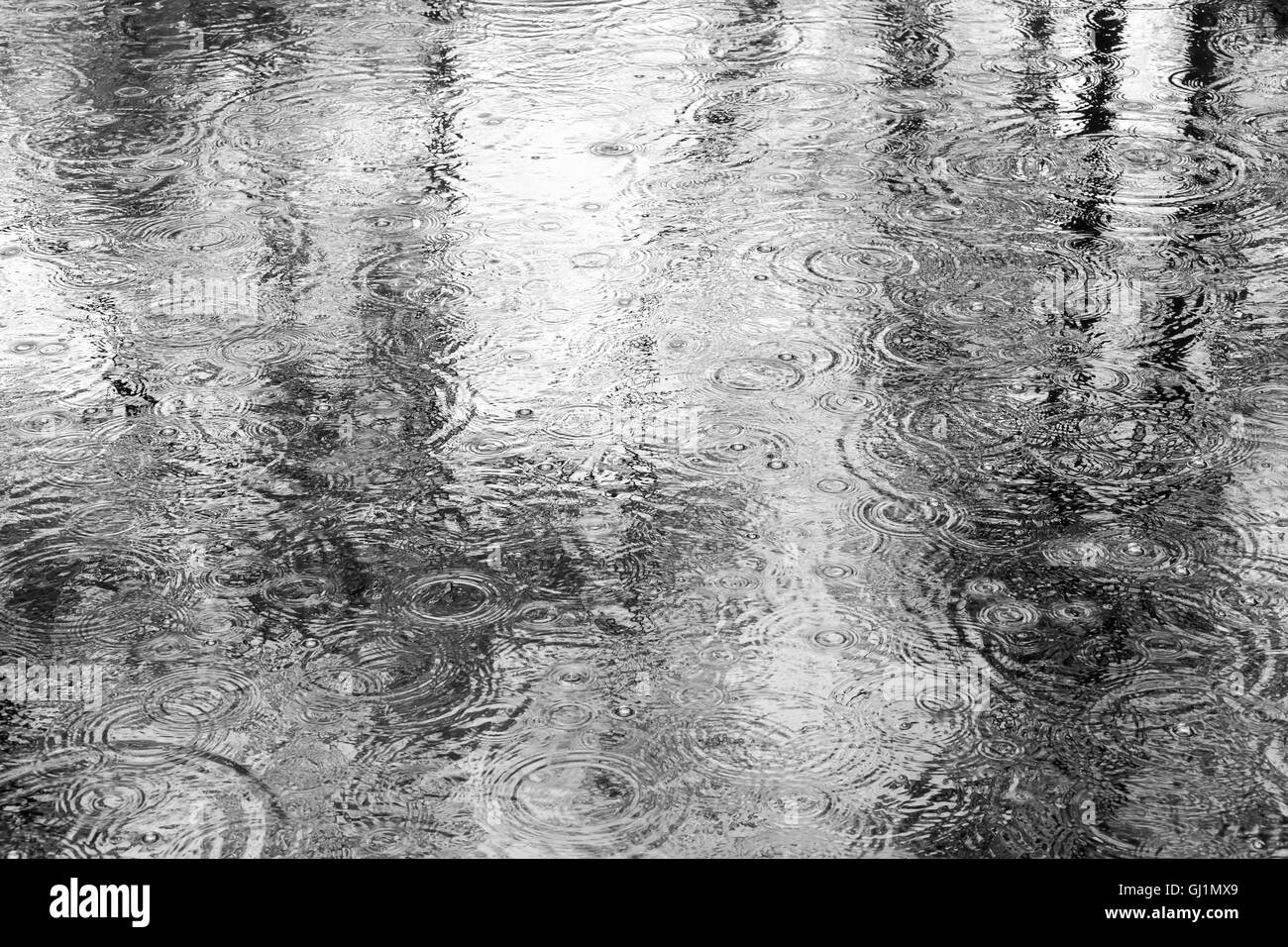 Reflet des arbres dans une flaque d'un jour de pluie Banque D'Images