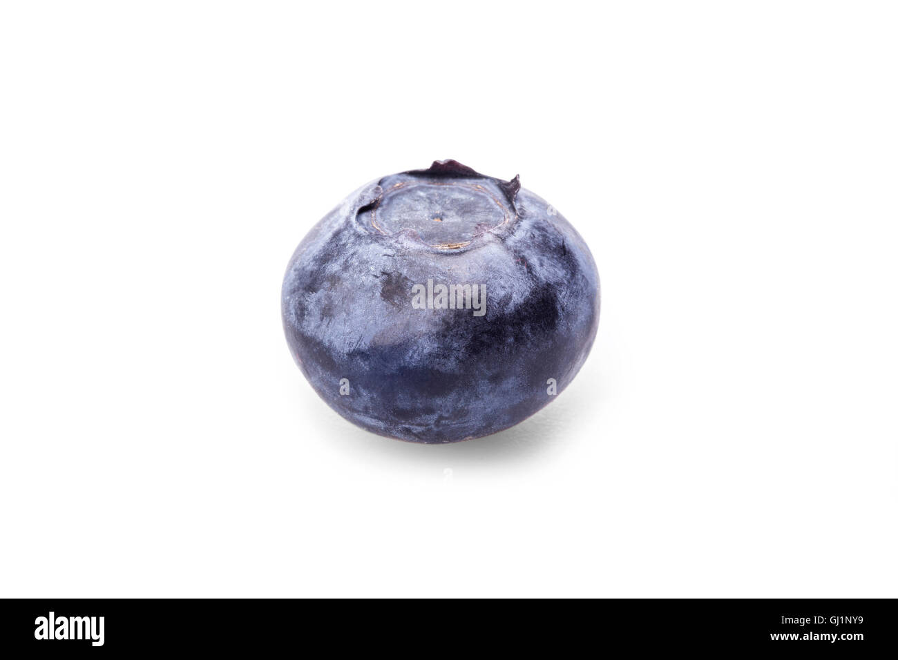 Blueberry sur fond blanc isolé. Banque D'Images