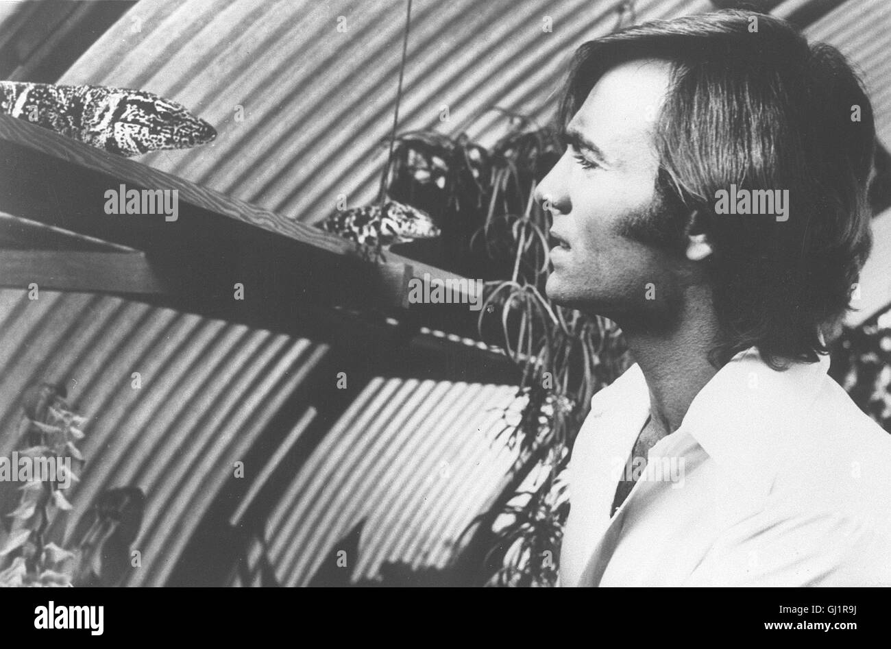 Les grenouilles- KILLER AUS DEM SUMPF- Zu seinem hat Geburtstag Urgroßvater Jason Crockett seine ganze Sippe auf seinen prächtigen Landsitz vor der Küste Floride eingeladen. Doch statt eines harmonischen Familienfeier erleben die Gäste das nackte Grauen. Die Frösche Reptilien und sind zu der Gegend von Monstern Größe furchterregender mutiert setzen und zum Angriff auf das Gutshaus un - eine tödliche der Reaktion auf die Tiere jahrelang geschundenen Verseuchung Lebensraums und Umweltverschmutzung votre... Voir mit Clint (ADAM ROARKE). Regie : George McCowan aka. Les grenouilles Banque D'Images