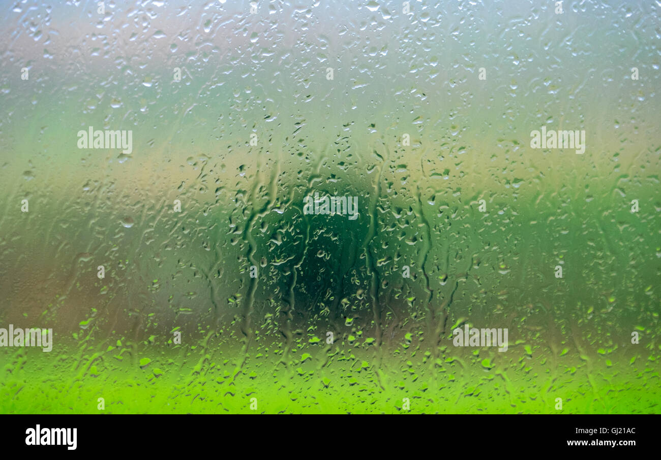 Un paysage vert brouillé par une fenêtre rayée de la pluie Banque D'Images
