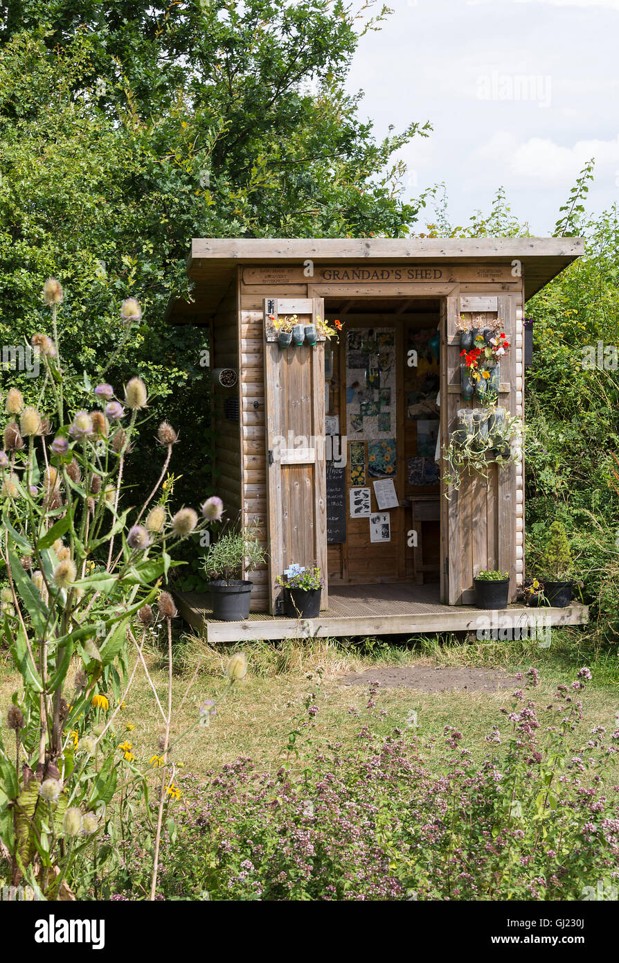 Grandad's Shed at Old Moor réserve RSPB Avec Plante Renoncule Dearne Valley Barnsley Yorksire Angleterre Royaume-Uni UK Banque D'Images