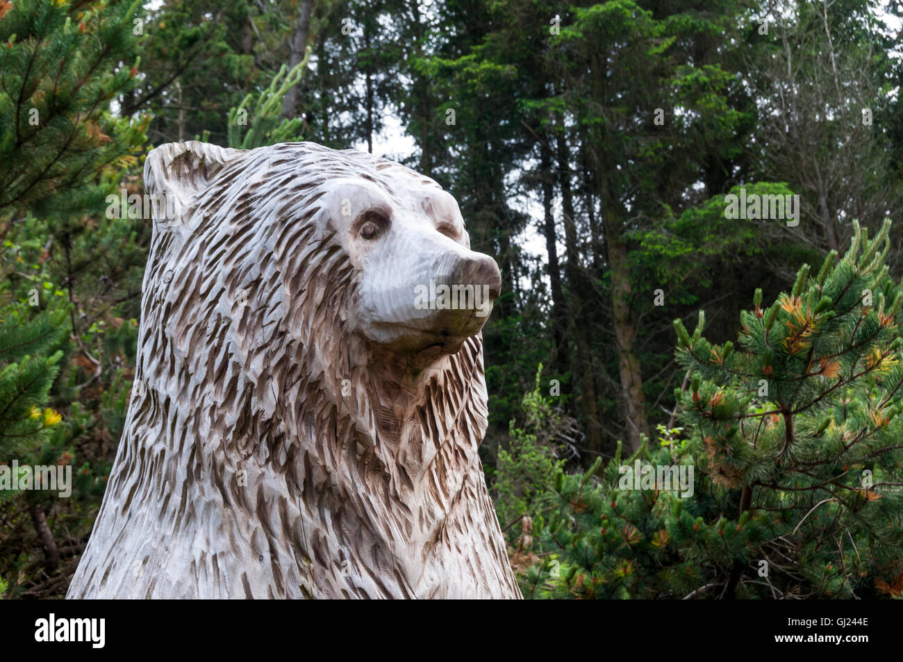 Détail de la statue d'Hercule l'ours en Langass Woods, North Uist par Iain Chalmers. Plus de détails dans la description. Banque D'Images