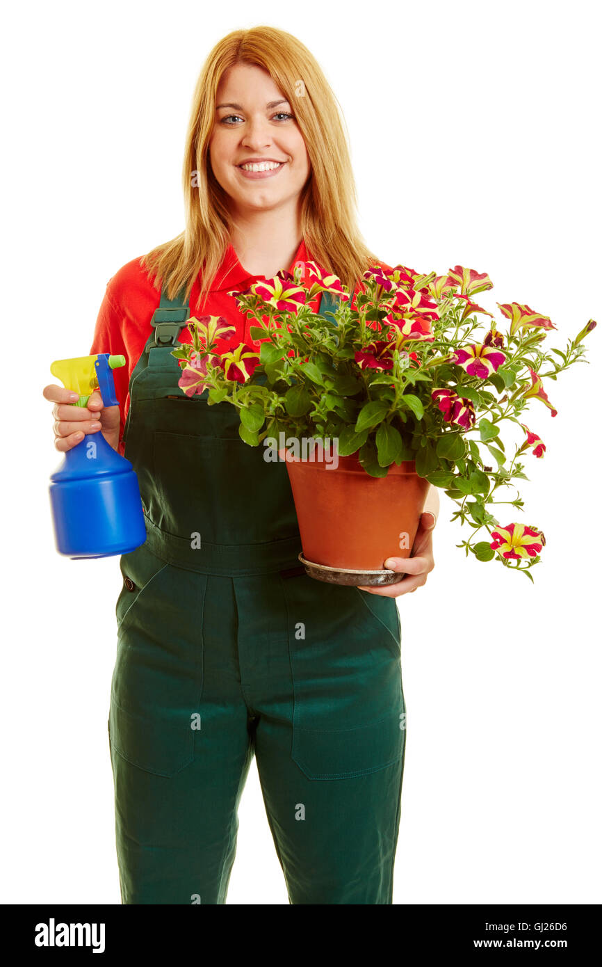 Woman holding Flowers fleuriste sur un pot Banque D'Images