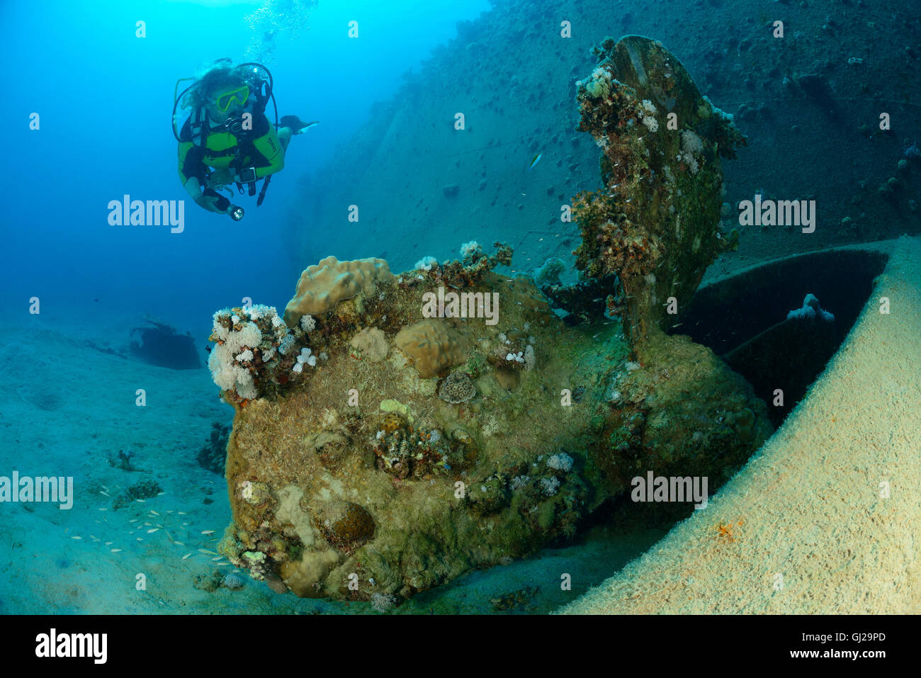 Naufrage Hamada, Vraquier, et plongée sous-marine sur épave, Marsa Alam, Wadi Gima, Marsa Alam, Red Sea, Egypt, Africa Banque D'Images