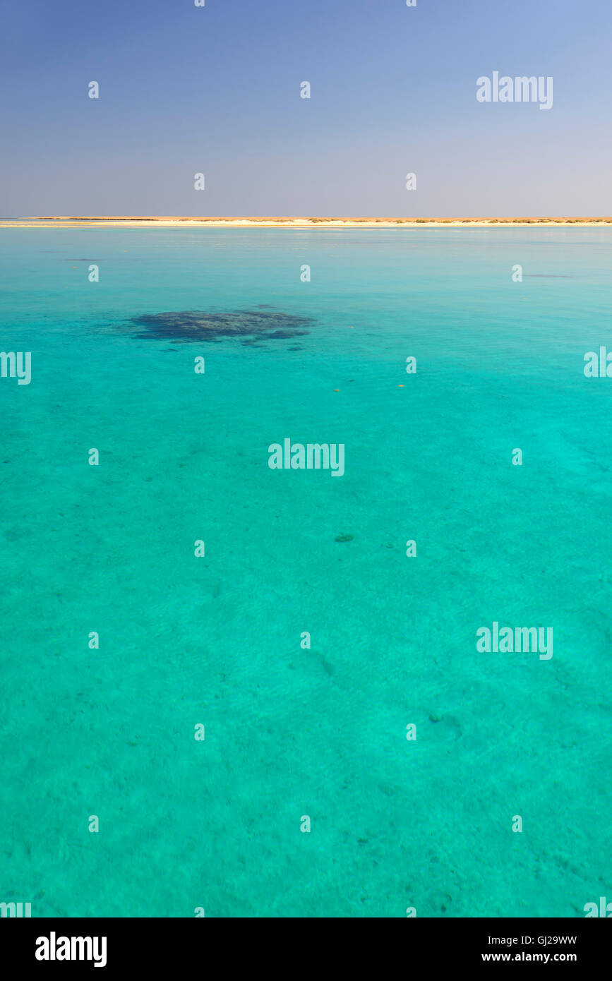 Bloc de corail dans le lagon bleu turquoise à Marsa Alam, Wadi Gima, Parc National Wadi Gima, Marsa Alam, Red Sea, Egypt Banque D'Images