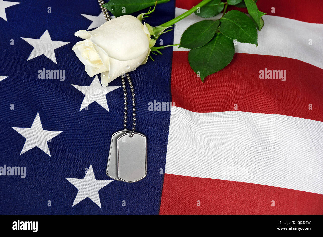 Chien militaire tags sur le drapeau américain avec White Rose. Banque D'Images