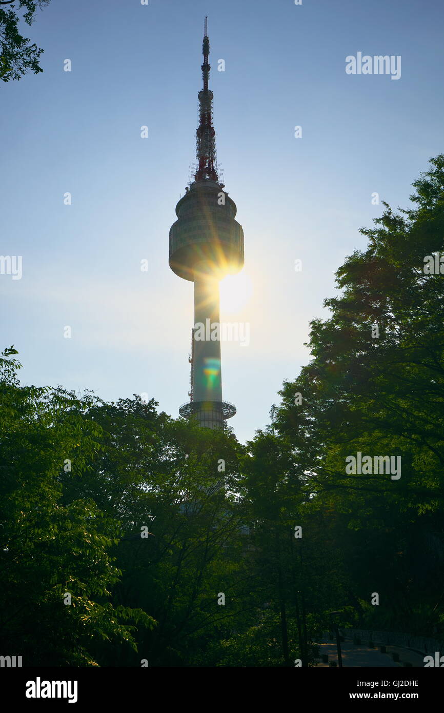 Tour N de Séoul, le parc Namsan, Séoul Banque D'Images
