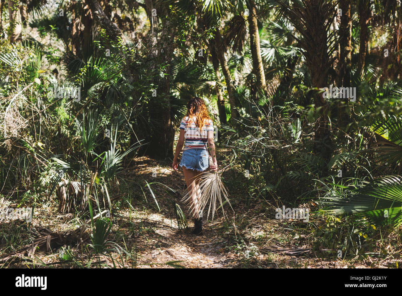 Femme d'explorer la forêt, Bonita Springs, Floride Banque D'Images