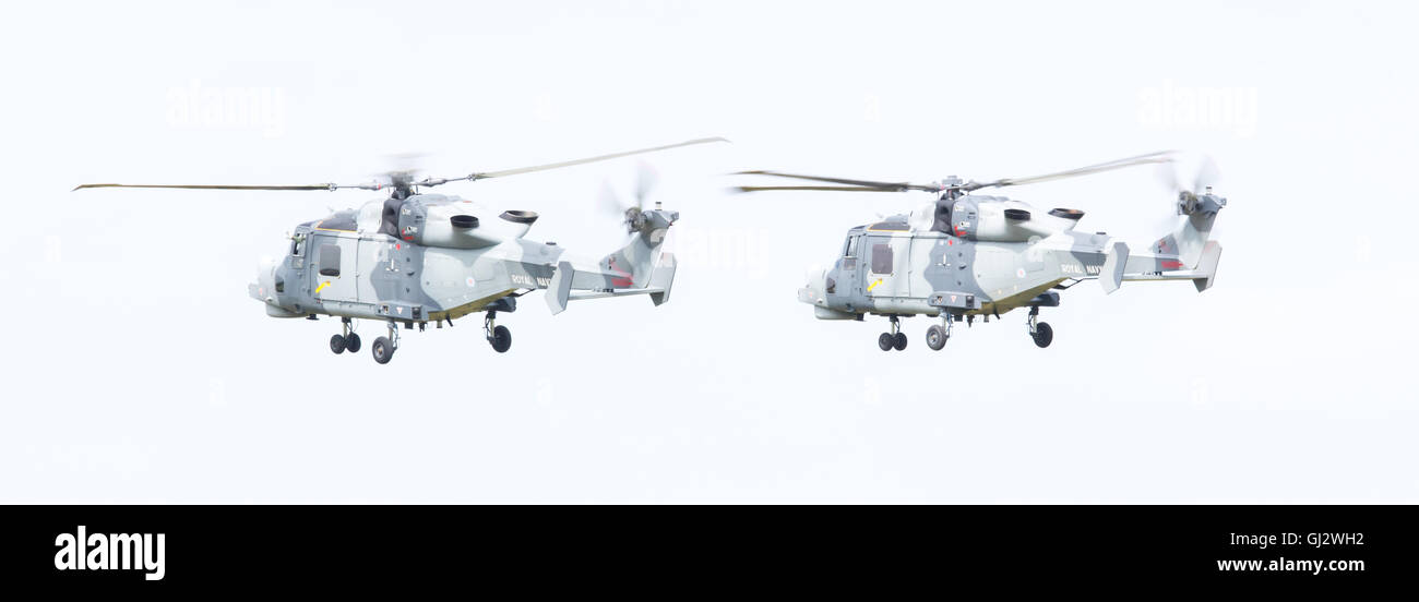 LEEUWARDEN, Pays-Bas - 11 juin 2016 : Royal Navy (Black Cats Display Team) Agusta Westland AW-159 Wildcat HMA2 performing Banque D'Images