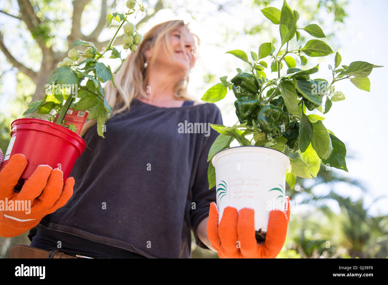 Low angle view of woman holding plants in garden Banque D'Images
