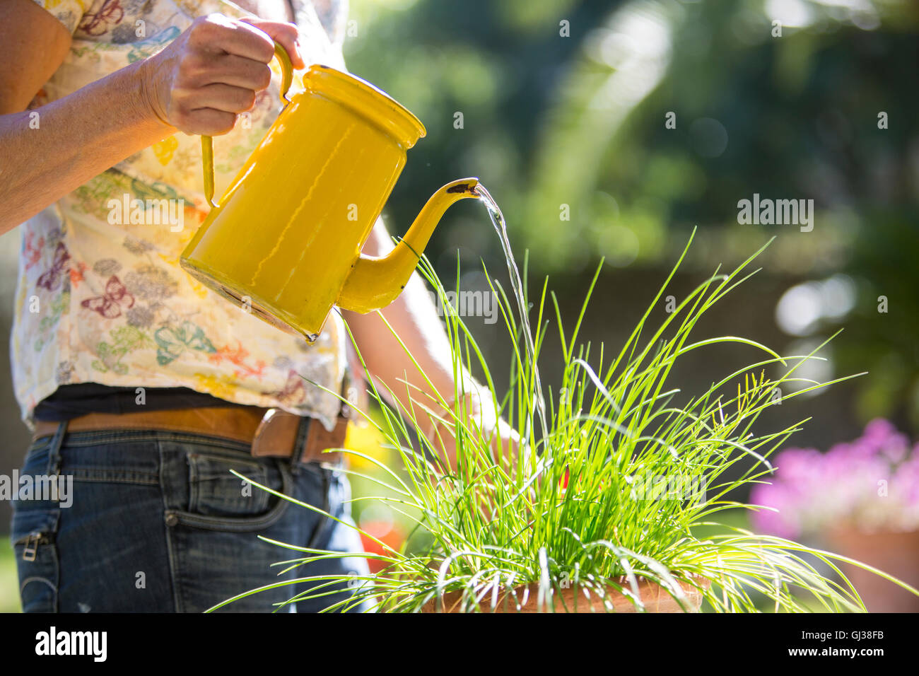 Portrait of woman watering plants in garden Banque D'Images