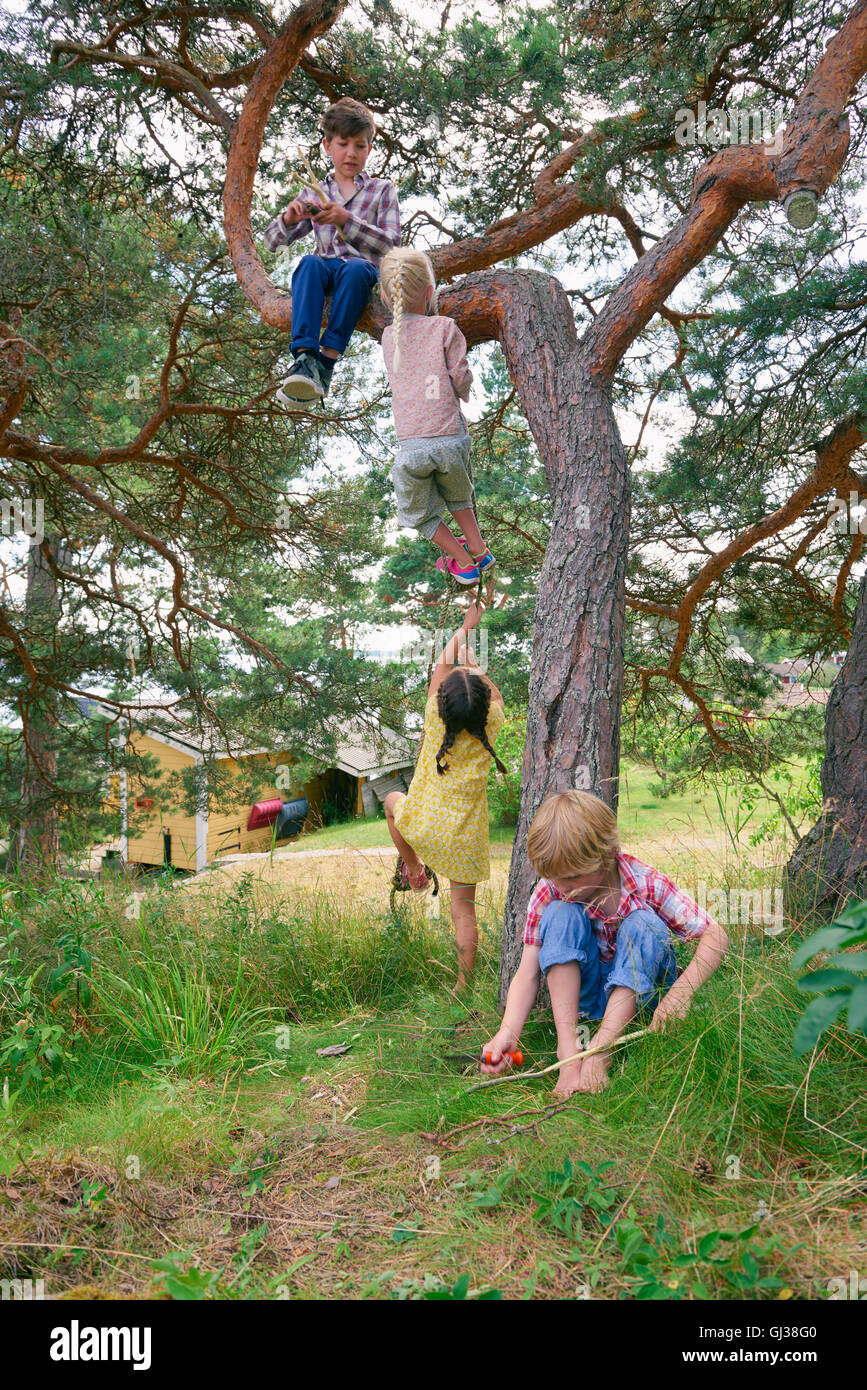 Groupe de jeunes amis qui jouent en plein air, arbre d'escalade Banque D'Images