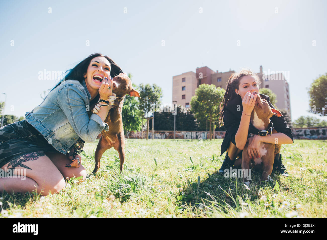 Deux jeunes femmes jouant avec les pit bull terriers en parc urbain Banque D'Images