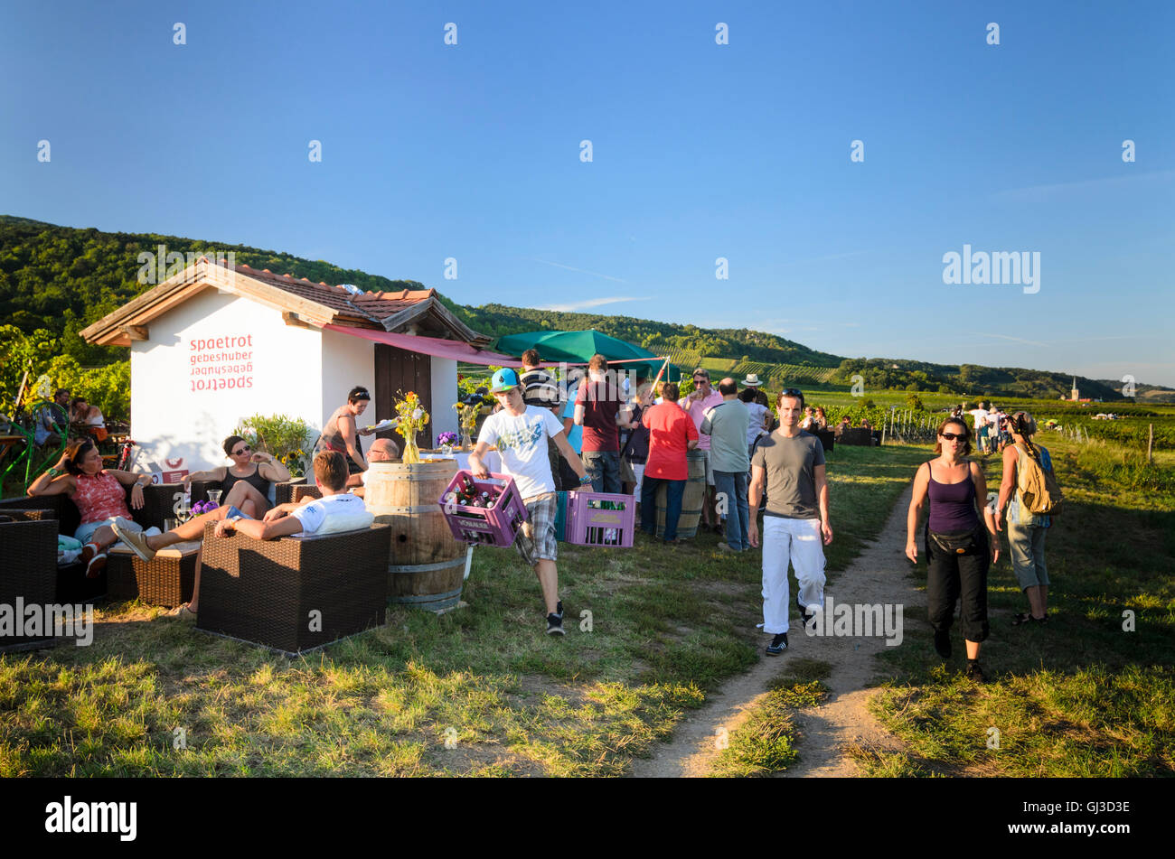 Gumpoldskirchen : fête du vin dans les vignobles, les gens, la vigne, l'Autriche, Niederösterreich, Autriche, Vienne, Wienerwald Banque D'Images