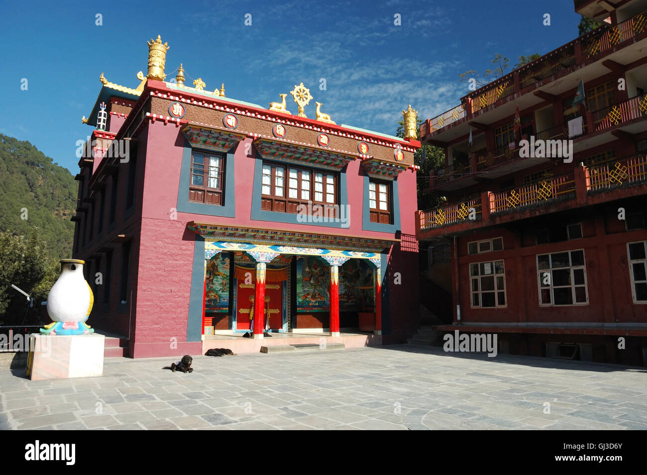Drikung Kagyu Gompa bouddhiste place sainte à Rewalsar, Mandi, Himachal Pradesh, Inde Banque D'Images