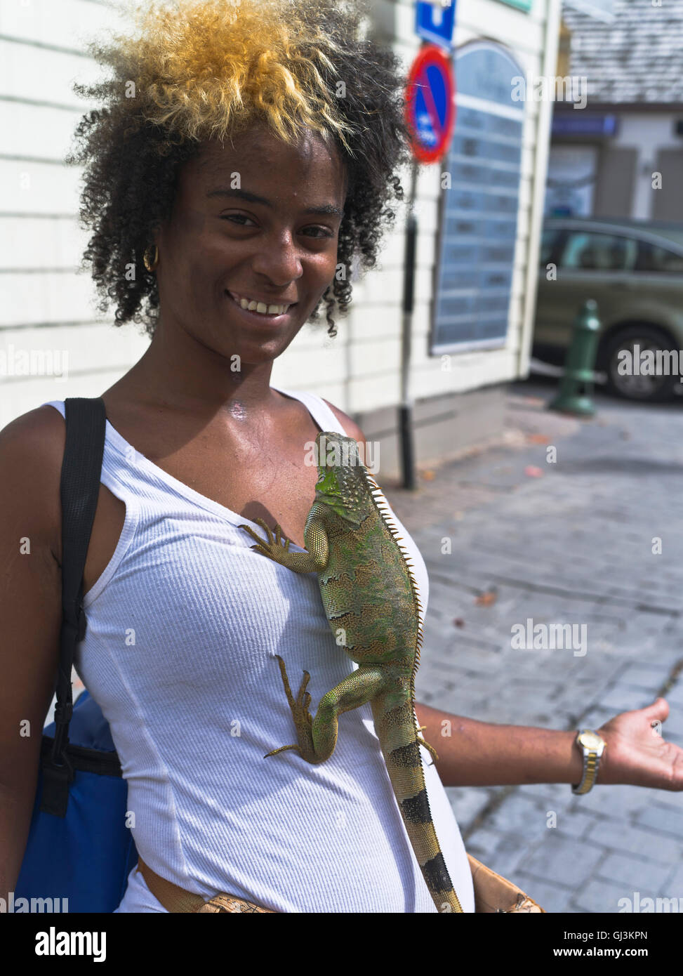 dh Philipsburg Antilles st MAARTEN CARIBBEAN Girl with iguana lézard pour animaux de compagnie accroché à des personnes animaux inhabituels Banque D'Images