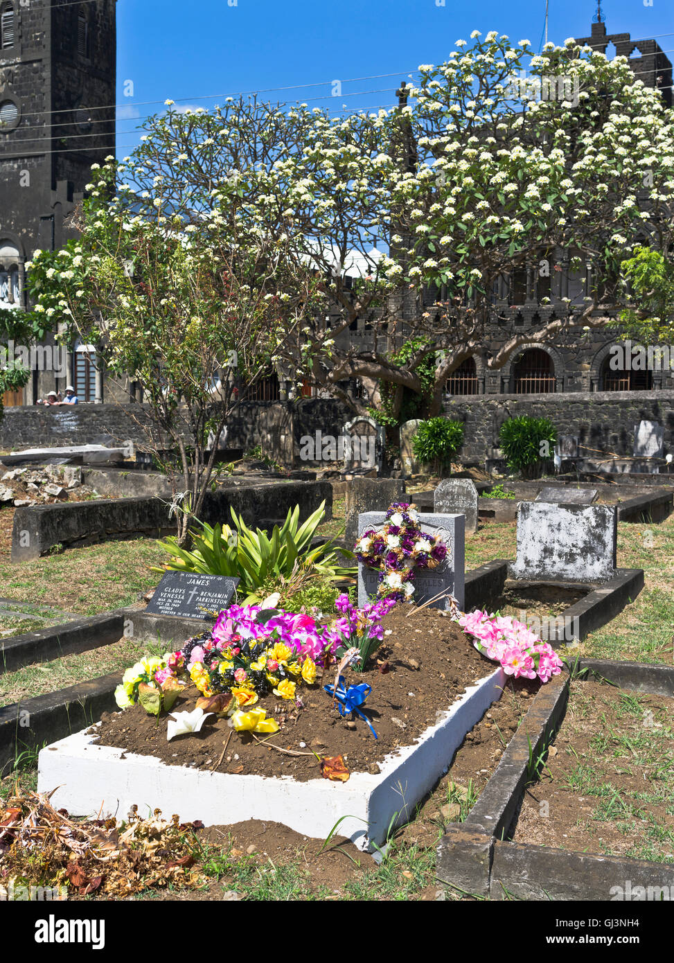 dh Kingstown ST VINCENT CARIBBEAN Cathédrale St Georges cimetière de tombe graveyard pierre Banque D'Images