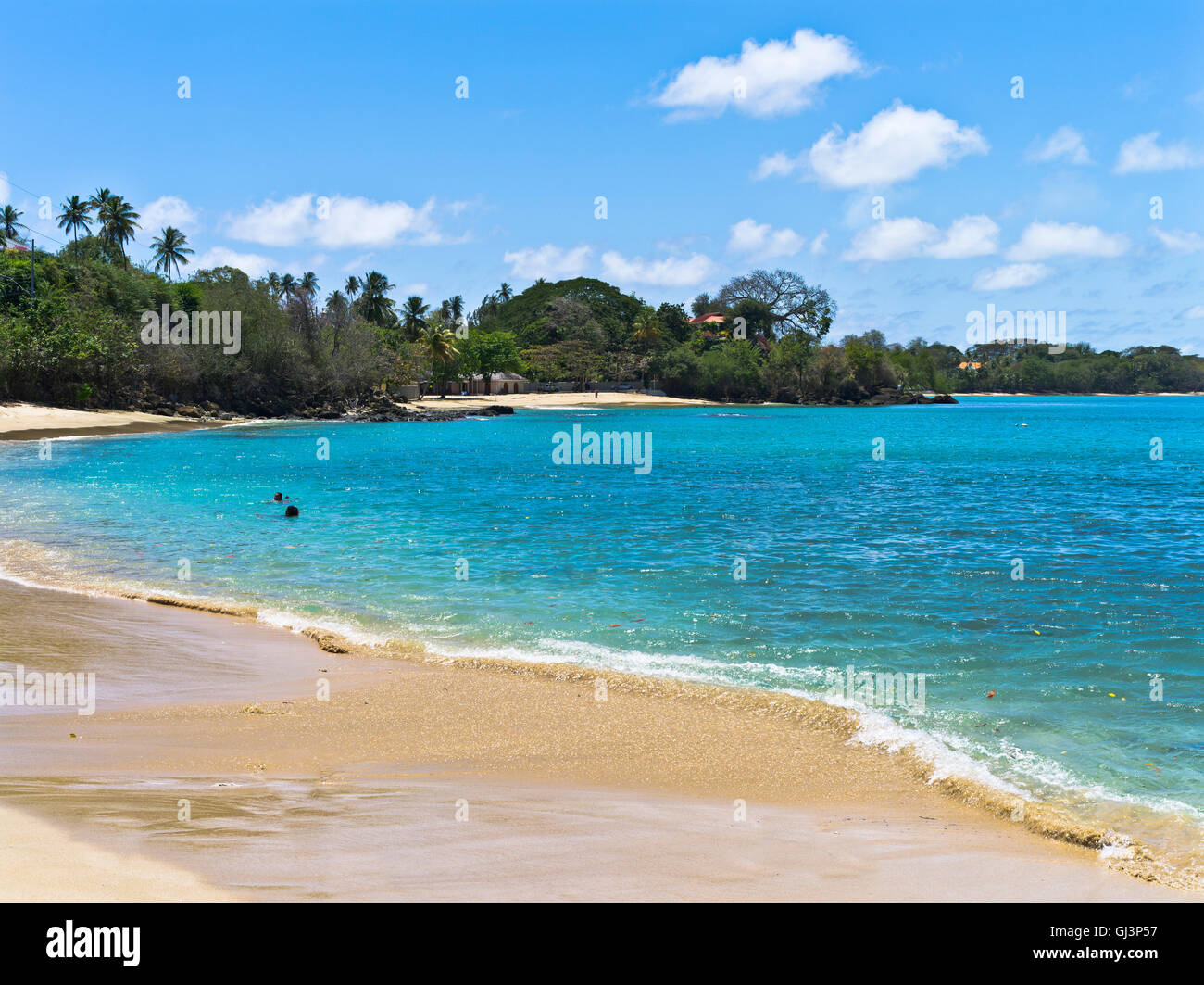 dh Grande Courland Bay TOBAGO CARAÏBES Caraïbes îles sable plage bleu mer baie côte antilles Ouest île des indes Banque D'Images