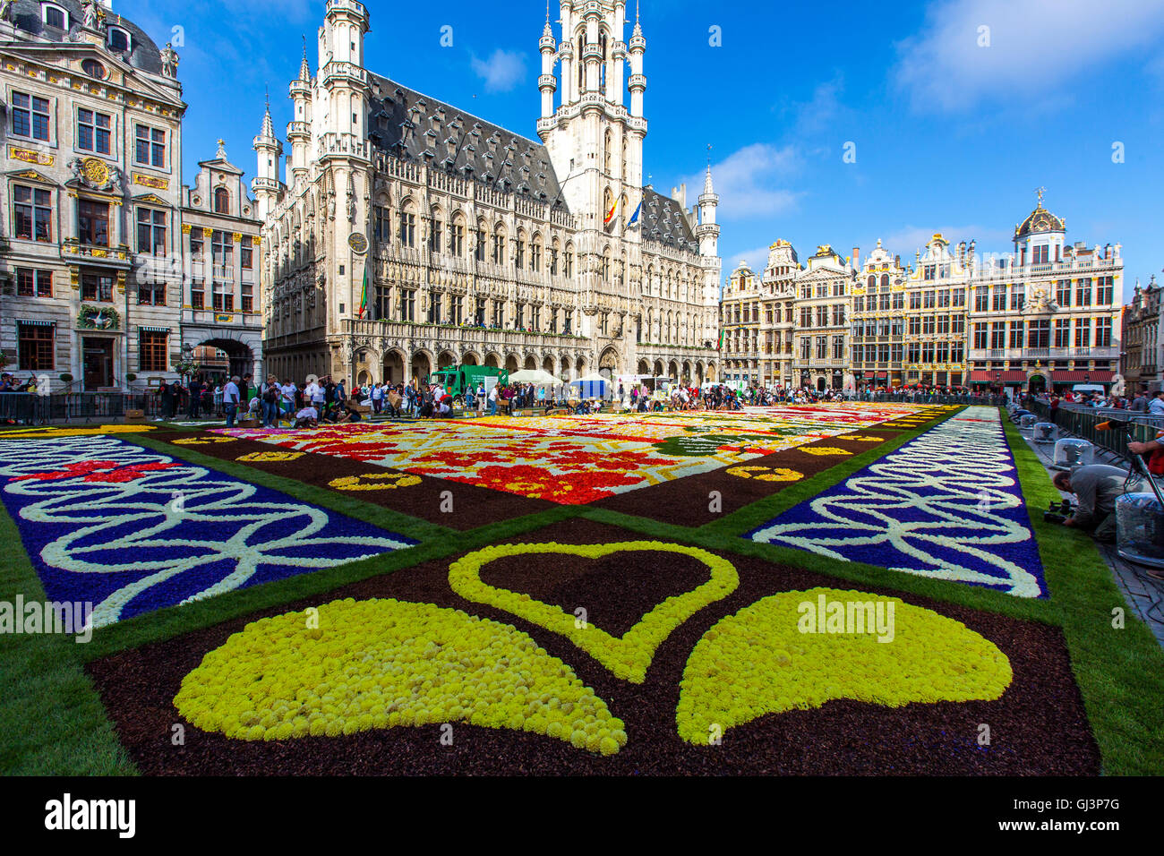 Tapis de Fleurs sur la Grand Place à Bruxelles, Belgique, plus de 600 000 fleurs, bégonias et dahlias, assemblée générale du tapis Banque D'Images