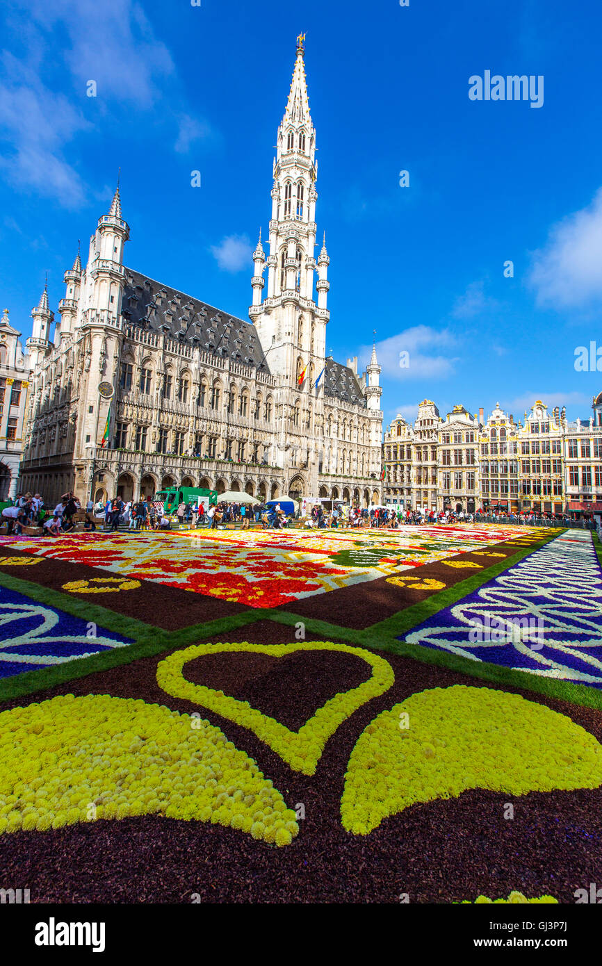 Tapis de Fleurs sur la Grand Place à Bruxelles, Belgique, plus de 600 000 fleurs, bégonias et dahlias, assemblée générale du tapis Banque D'Images