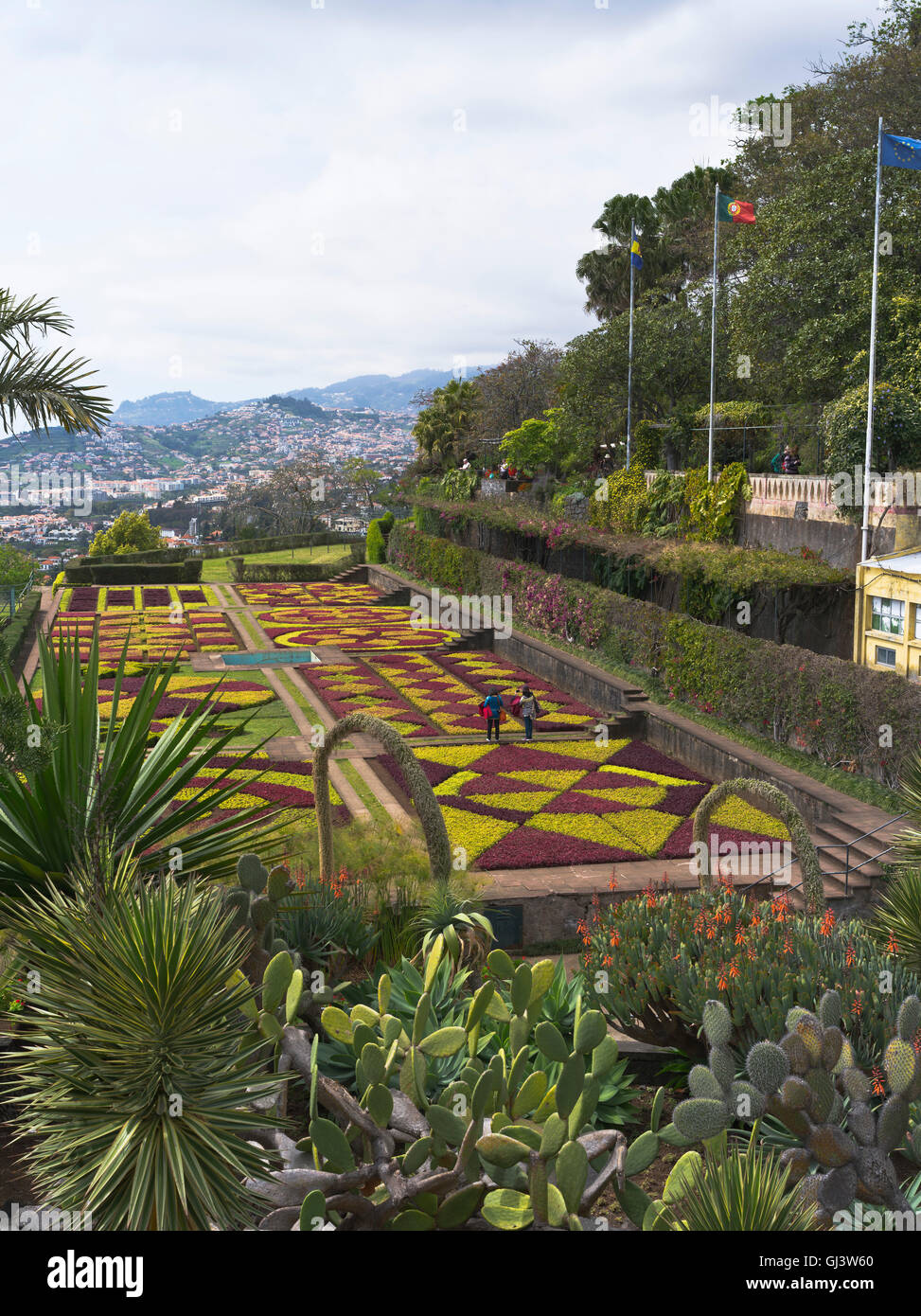 Dh Botanical Gardens Funchal Madeira touristes affichage mosaïque végétale haie jardin terrasse chambres Banque D'Images
