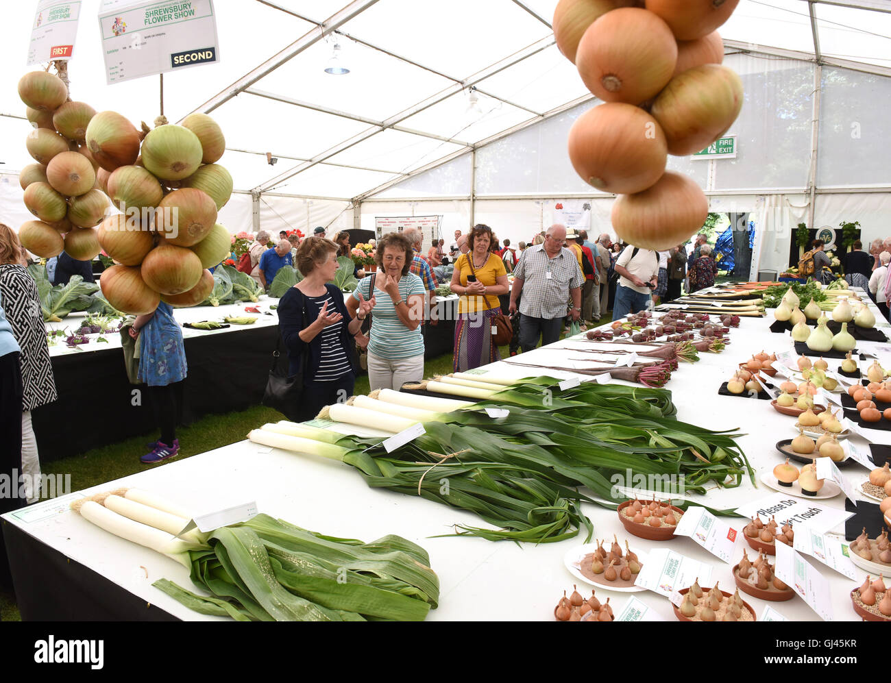 Shrewsbury Flower Show, Royaume-Uni. 12th août 2016. Les visiteurs peuvent voir des légumes primés exposés. Crédit : David Bagnall Banque D'Images