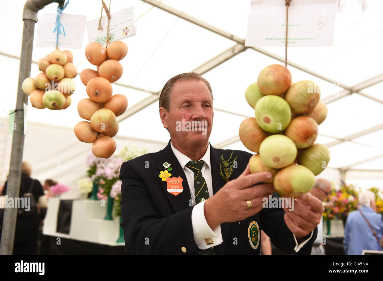 Shrewsbury Flower Show, Royaume-Uni. 12th août 2016. Un homme qui connaît ses oignons! Nick Anderson de la National Vegetable Society jugeant les expositions. Crédit : David Bagnall Banque D'Images