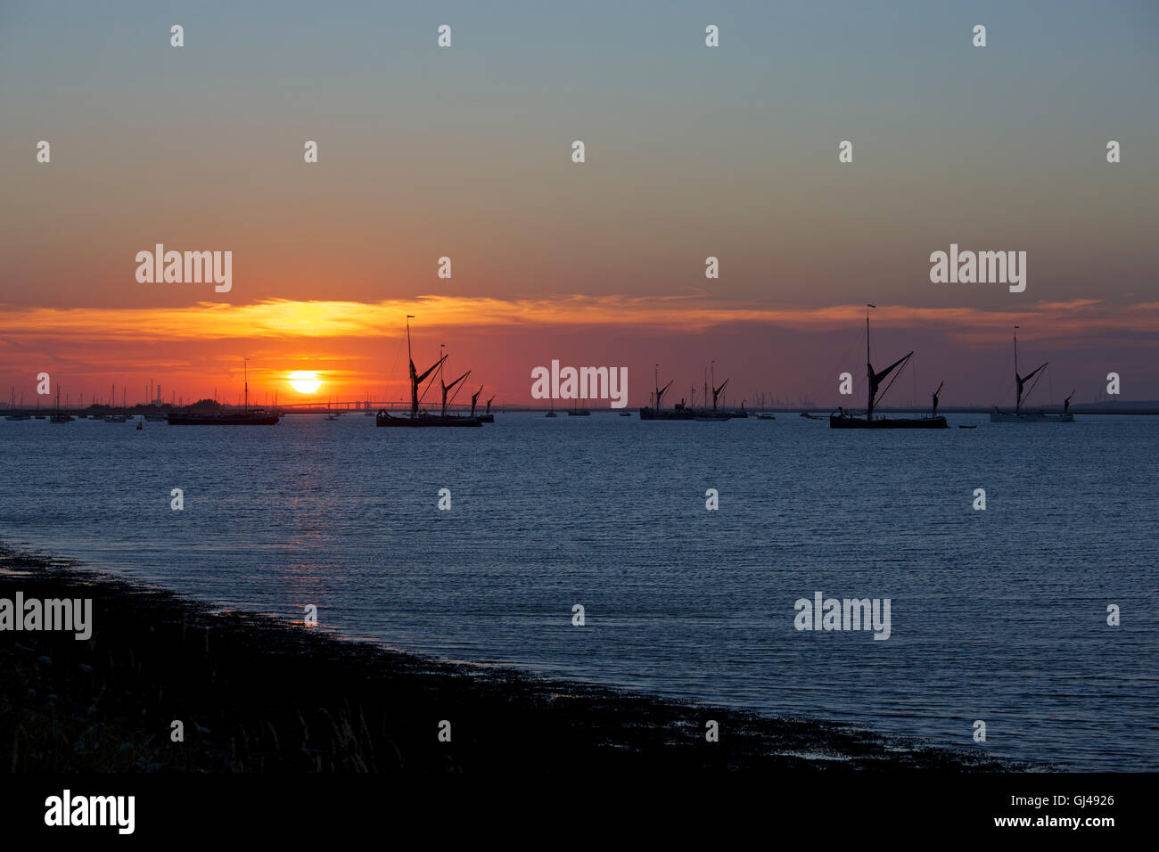 L'estuaire de Swale, Kent, UK. 12 Août 2016 Royaume-Uni : la météo. À Thames barges, sent et yawls sont à l'ancre le vendredi soir en attendant le début de la 44e Swale smack et voile match barge le samedi. Une belle vigueur 4-5 SW et du temps sec, les prévisions météo à parfait Crédit : Alan Payton/Alamy Live News Banque D'Images