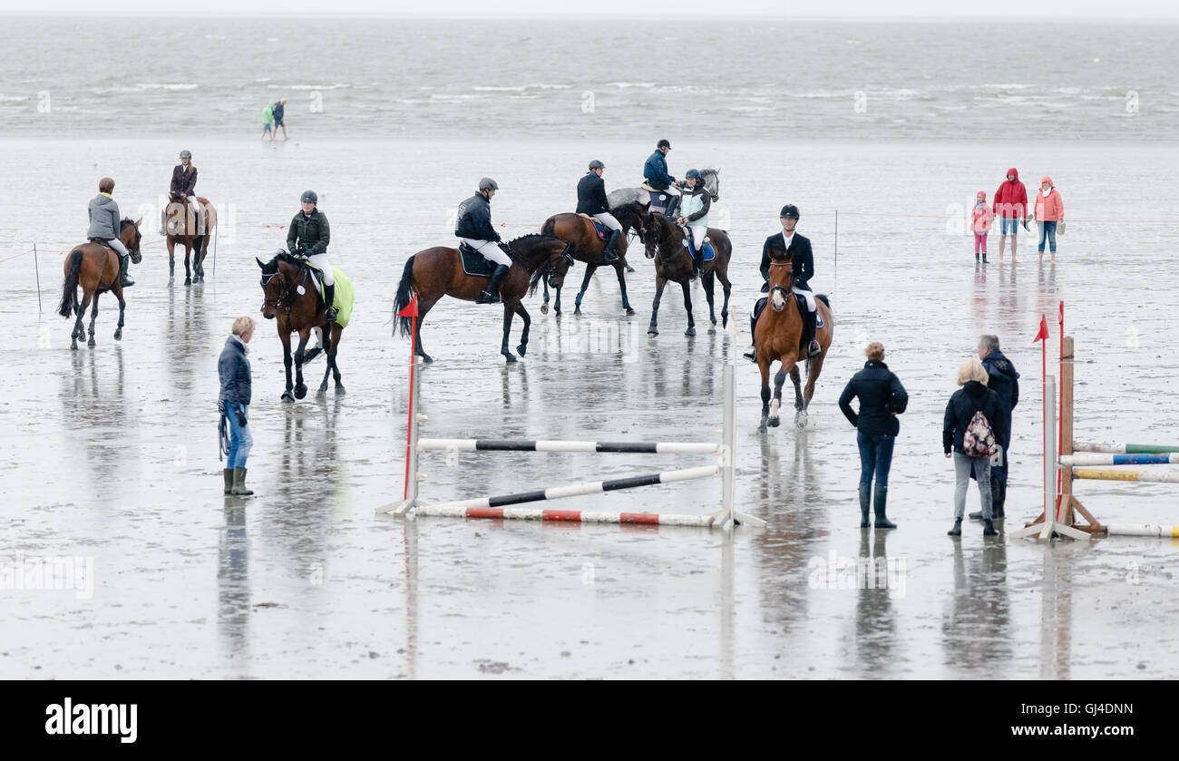 Buesum, Allemagne. 13e Août 2016. Cavalier participant à la compétition de sauts de boue annuel qui a été fondée en 1926 à Buesum, Allemagne, 13 août 2016. PHOTO : MARKUS SCHOLZ/dpa/Alamy Live News Banque D'Images