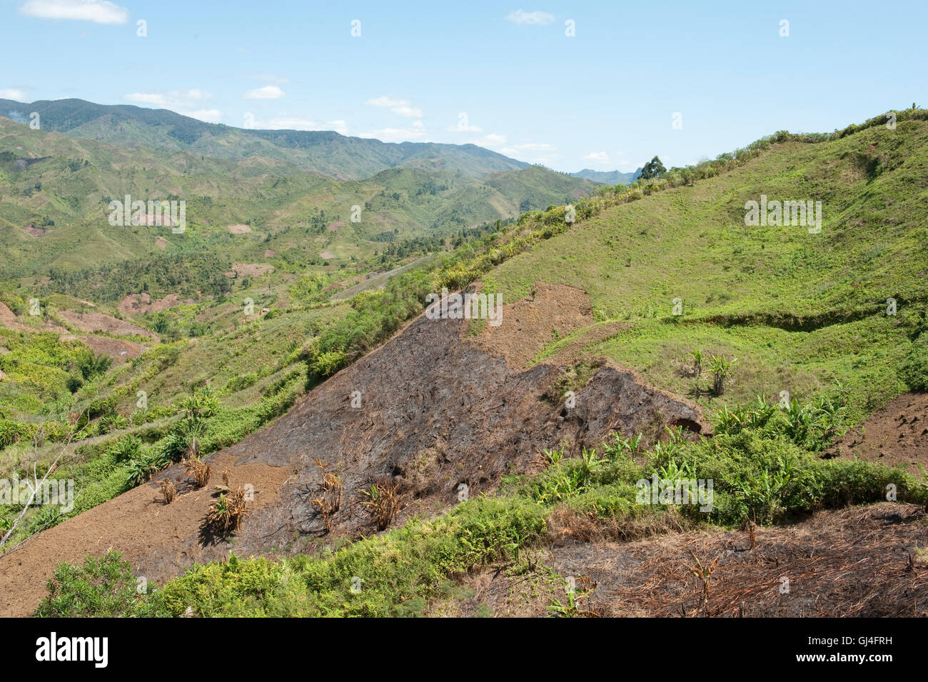 Slash paysage & Burn Madagascar Banque D'Images