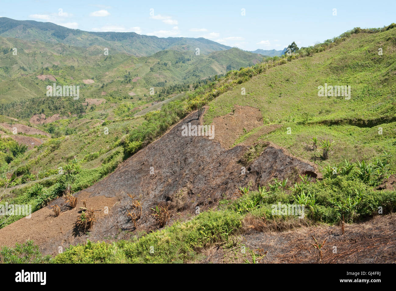 Slash paysage & Burn Madagascar Banque D'Images