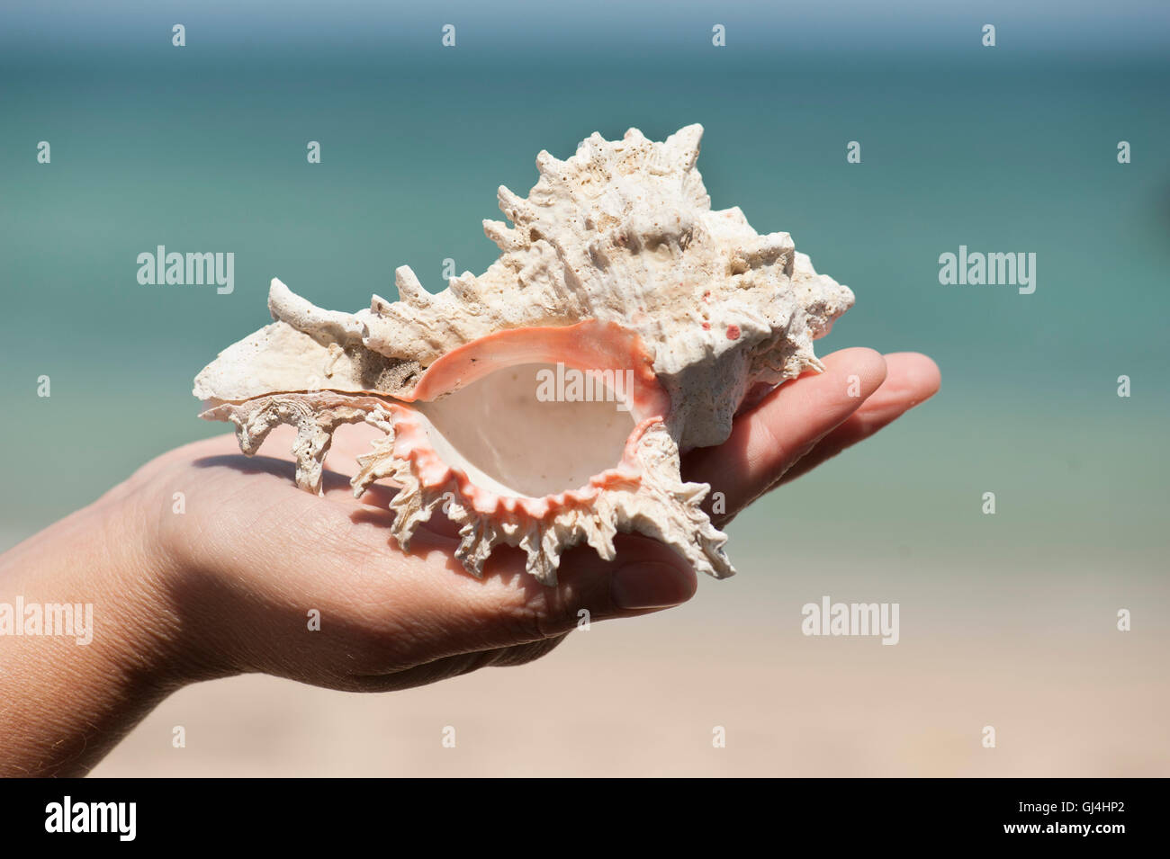 Conque Beach Madagascar Banque D'Images