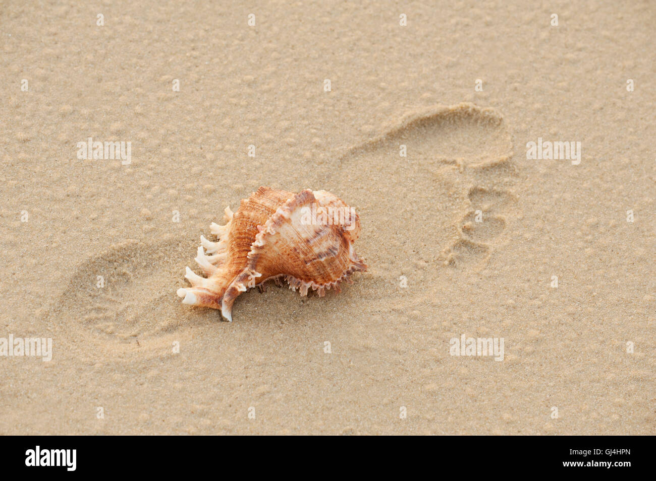 Conque Beach Madagascar Banque D'Images