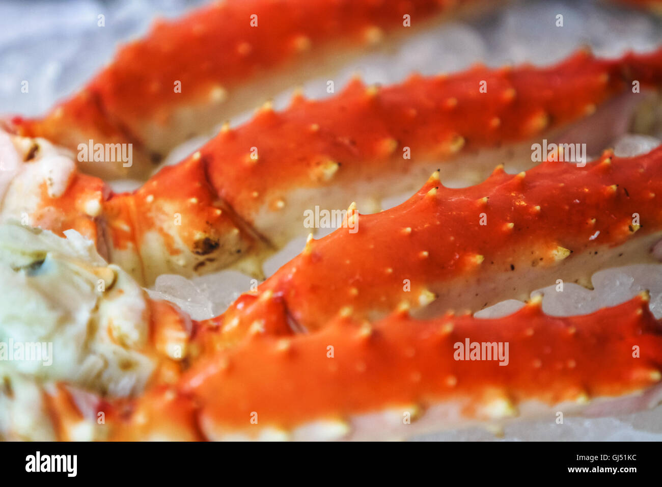 Close up detail view de lobster on ice Banque D'Images